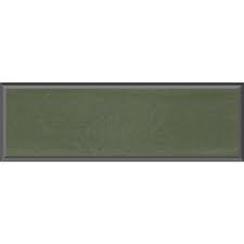 Image result for Medium Green 1968 Charger