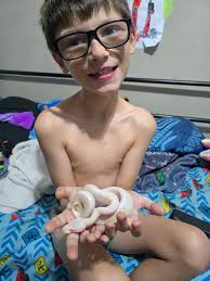 Pac man enclosure ideas for reptile setup?