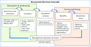 Tout simplement les meilleures vidéos porno mamie en rut qui peuvent être trouvés en ligne. Salvage Logging Effects On Regulating And Supporting Ecosystem Services A Systematic Map
