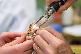 I brought my lovebird here and they were impressively professional. Avian And Exotic Animal Care 93 Photos 47 Reviews Veterinarians 8711 Fidelity Blvd Raleigh Nc United States Phone Number