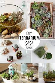 22 Ways To Make A Terrarium How To Make Terrariums Terrarium Diy Terrarium