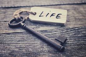 The Story of a Life - How script decisions get in our way