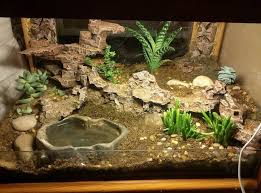 Amazing Pet Enclosures An Old Glass End Table Converted Into A Leopard Gecko Habitat Leopard Gecko Leopard Gecko Terrarium