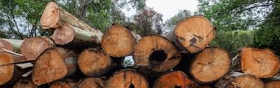 Check out these simple strategies to get free, seasoned firewood in your area. Firewood For Sale In Toronto On 647 493 3336
