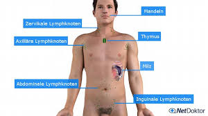 Geschwollene oder vergrößerte lymphknoten kommen häufig am hals, unter der achsel oder in der leiste vor. Geschwollene Lymphknoten Wann Sind Sie Gefahrlich Netdoktor