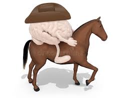 And the brain in total is a reasonable size. Horse With Human Brain Above Him Stock Illustration Illustration Of Wildlife Mind 125538448