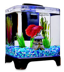 Imagitarium Betta Desktop Kit 1 4 Gal Petco Diy Fish Tank Betta Betta Fish Tank