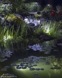 Led Lights Lighting Aquascape Inc Pond Lights Backyard Water Feature Landscape Lighting
