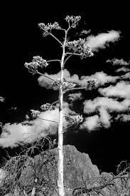 Fine Art Conceptual Photography Of Mountain Landscapes Black And White Infrared Conceptual Photography Fine Art Landscape Infrared Photography