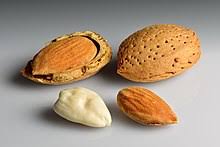 To do this, you need to write in the search box (for example, google) how many almonds are in an ounce and add to it an additional word: Almond Wikipedia