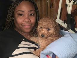 We made the leap and adopted an 11 week old dachshund puppy! Welcome home  Cash!