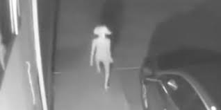 Odd Creature Caught On Security Camera And Internet Has Thoughts