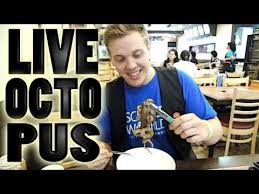 Full list of halal and haram animals to eat promoting halal and tayyib for all mankind. Eating Live Octopus Like A Champ Ummah Com Muslim Forum