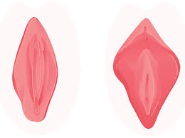 Sie machen zum teil einen richtigen wettbewerb draus, wer mir noch brutaler an den ficklappen reißen kann, sodass sie noch mehr in die länge gezogen werden. Hassliche Vagina Was Kann Ich Tun Wenn Ich Meinen Intimbereich Hasslich Finde Wunderweib