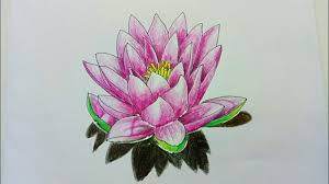 Bunga teratai dianggap keramat bagi penganut agama hindu dan buddha dan merupakan bunga nasional india. Menggambar Bunga Teratai Dengan Crayon Pen Youtube