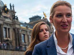 Il suo partito, l'afd, ha raggiunto circa il 13% dei voti ed è riuscito a entrare in parlamento. Alice Weidel Afd Uber Seenotrettung Angst Als Instrument Australien Als Vorbild Meinung