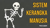 Pada kesempatan ini, seputar pengetahuan akan membahas tentang fungsi rangka manusia yang erat kaitannya. Share Your Videos With Friends Family And The World