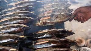 500 gr beras, cuci bersih 65 ml santan kara 1 lbr daun. Harga Ikan Tongkol Turun Sumbang Deflasi Aceh 0 34