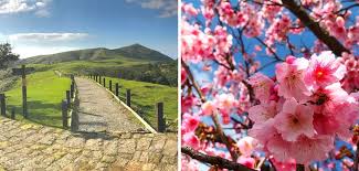 The site owner hides the web page description. åæ é½æå±±ä¸æ¥é èºåæéç¶²