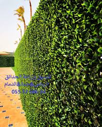 تنسيق حدائق بالعشب الصناعي حديقة سطح انجيلة عشب جداري على الجدران بالرياض 0553268634 Instagram Instagram Photo World