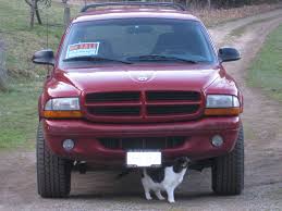 Browse the inventory of dealerships nationwide to find the car, truck, van used cars canada puts the power in your hands, offering numerous search options. Car Buying Tips Canada For Tourists Backcountry Canada Travel