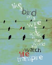 Bird On A Wire Movie Song Like A Bird On A Wire Inspirational Poetic Original Etsy Inspirational Quotes Lettering Inspiration