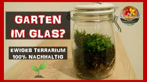 Garten Im Glas Ewiges Terrarium 100 Nachhaltig Bauen Youtube