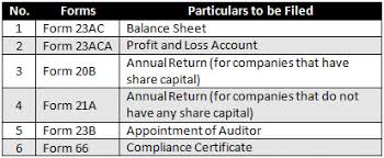 The annual return should include the following information as was true during. Companies Act 1956 Annual Compliance In India India Briefing News