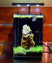 1 001 Likes 18 Comments Mother Of Sharks Motherofsharks On Instagram Murcielago 5 Gallon Very Modifi Betta Fish Types Betta Aquarium Aquarium Fish Tank