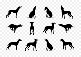 Greyhound Silhouette Png Free Greyhound Silhouette Png Transparent Images 95902 Pngio