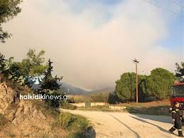 Στο σημείο για την κατάσβεση της πυρκαγιάς επιχειρούν 32 πυροσβέστες με έξι οχήματα και δύο ομάδες πεζοπόρο τμήμα. Dyskolh Nyxta Apo Th Fwtia Sth Xalkidikh Apomakryn8hkan Katoikoi Dia 8alasshs