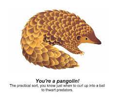 Google Pangolin Earth Day Quiz Pangolin Art