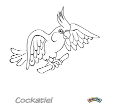 Tropical bird coloring pages cockatiel coloring pages grey curious. Cockatiel 2