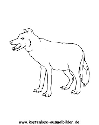 Kostenlose Ausmalbilder Ausmalbild Wolf 1