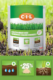 Coated Grass Seed Grass Seed Small Vegetable Gardens Seeds