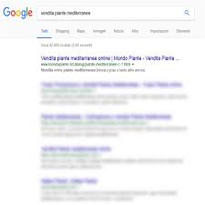 Tutto il mondo che circonda è popolato da piante. Mondo Piante Sviluppo E Commerce Vivaio Online Seo Digital Strategy