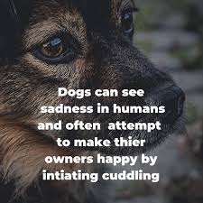 Pin On Beautiful Cuties