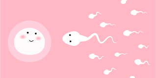 Don't forget to bookmark gambar hubungan suami istri saat hamil using ctrl + d (pc) or command + d (macos). Gambar Cara Berhubungan Agar Cepat Hamil Tempat Berbagi Gambar