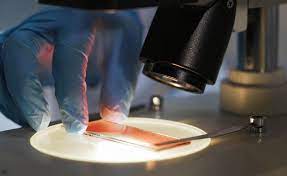 Check spelling or type a new query. Bone Marrow Biopsy What To Expect What It Is And Risks
