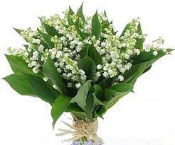 Faites livrer un bouquet de muguet des bois et envoyez du bonheur à vos proches pour le 1er mai ! Alfortville Confluence Offre Ce Bouquet De Muguet Alfortville Confluence