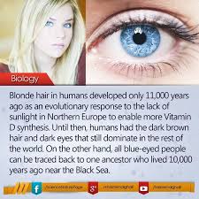 And yes your eyes are brown. Hashem Al Ghaili On Hair Facts Blonde Hair Facts Blue Eye Facts