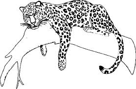 We did not find results for: Jaguar Mask Coloring Page Novocom Top