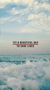 And don't forget to vote for your favorite and least favorite quotes so. 110 Grey S Anatomy Ideas In 2021 Greys Anatomy Anatomy Anatomy Quote