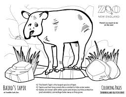 Zoo animals coloring pages are a great way to help your kids learn their animals. Zoo New England Coloring Pages