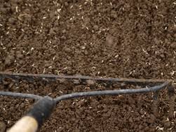 Search a wide range of information from across the web with superdealsearch.com Watering A New Lawn The Right Way