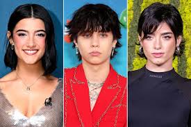 Charli DAmelio Says Landon Barker and Sister Dixie Bicker Like Siblings
