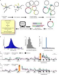 Aprende a pintar en estilo pixel art usando la herramienta gratuita graphics gale. Enhancer Hubs And Loop Collisions Identified From Single Allele Topologies Nature Genetics
