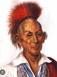 Black Hawk rock profile