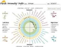 Horsenality Left Brain Introvert Chart This Is My Other