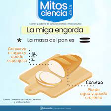 Crees Que La Miga Engorda Mas Que La Corteza Te Equivocas Descubre Muchos Mas Mitos Del Pan Que Crees Q Dieta Y Nutricion Revista De Salud Dieta Equilibrada